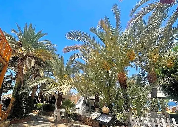 Lidia And Restaurant מלון